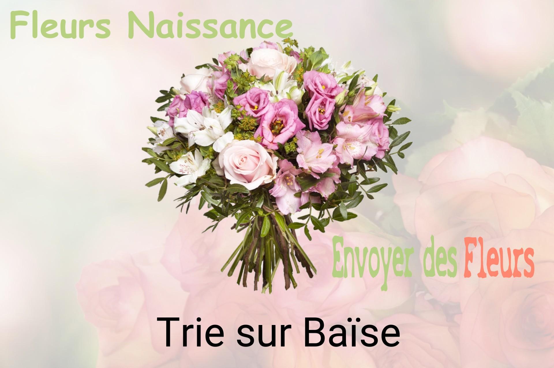 Bouquet de fleurs de naissance livré à Trie-sur-Baïse