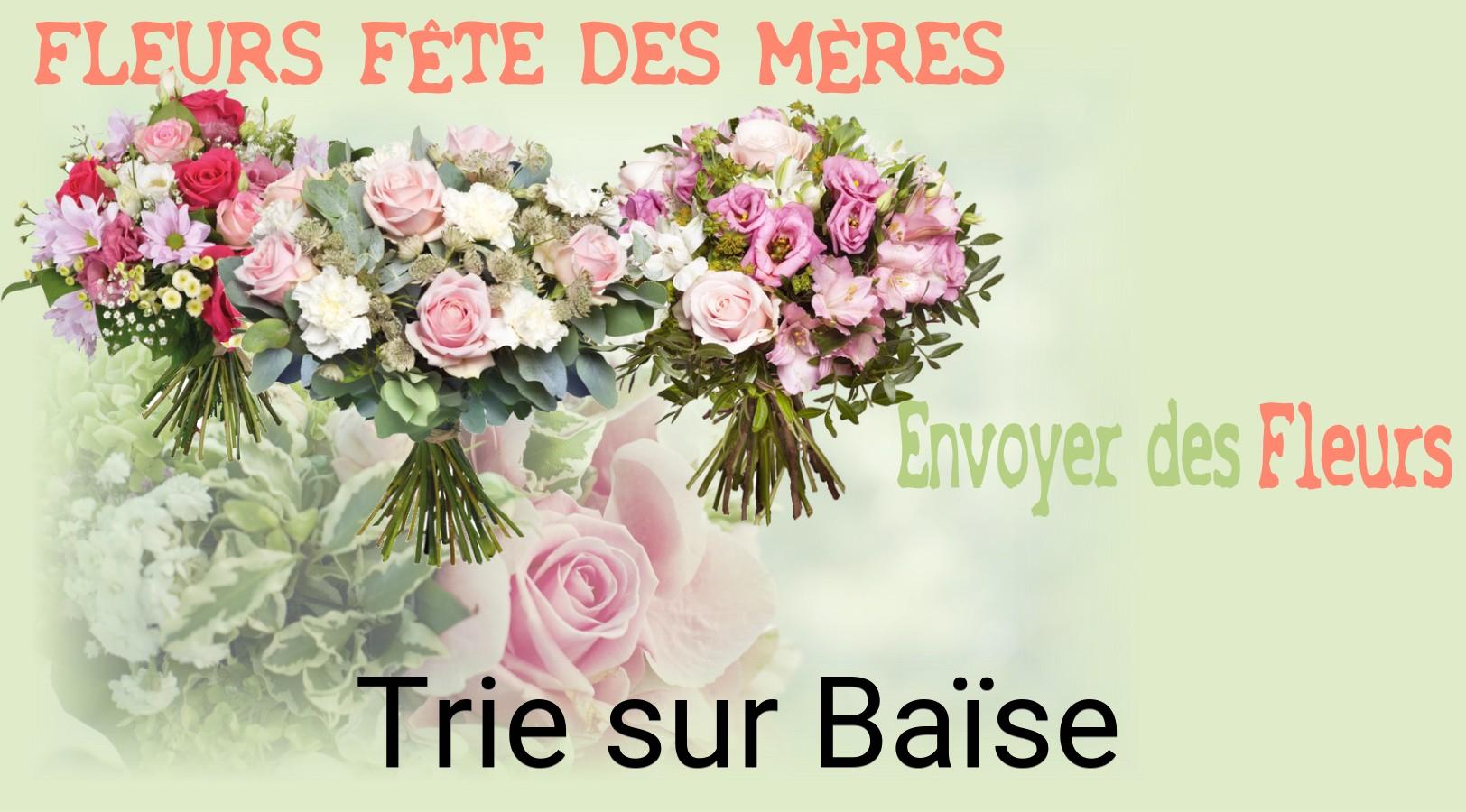 Bouquet de Fête des Mères livré à Trie-sur-Baïse